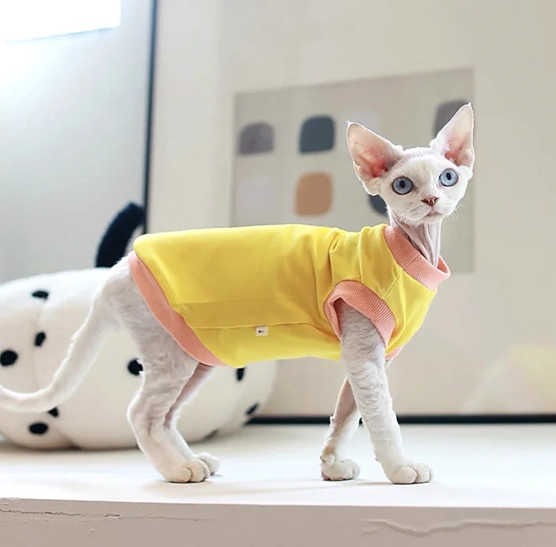 Yellow Sphynx Cat T-Shirt – Soft Cotton Clothes for Hairless Cats