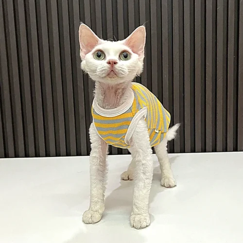Yellow Stripe Sphynx Cat Shirt – Soft Cotton Clothes for Hairless Cats