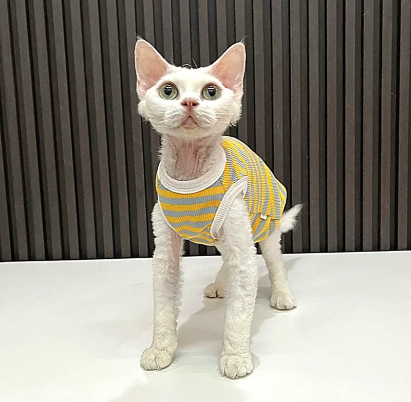 Yellow Stripe Sphynx Cat Shirt – Soft Cotton Clothes for Hairless Cats