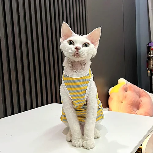 Yellow Stripe Sphynx Cat Shirt – Soft Cotton Clothes for Hairless Cats