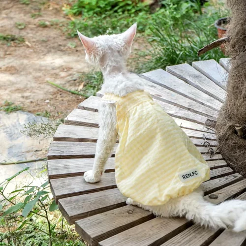 Lightweight Sphynx Cat Dress – Soft Clothes for Hairless Cats