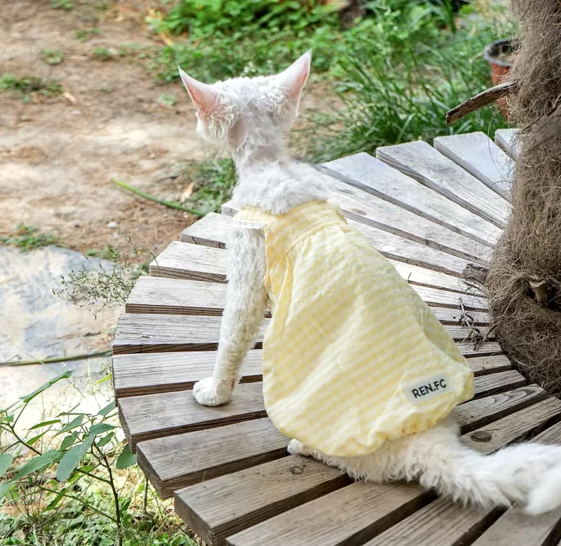 Lightweight Sphynx Cat Dress – Soft Clothes for Hairless Cats