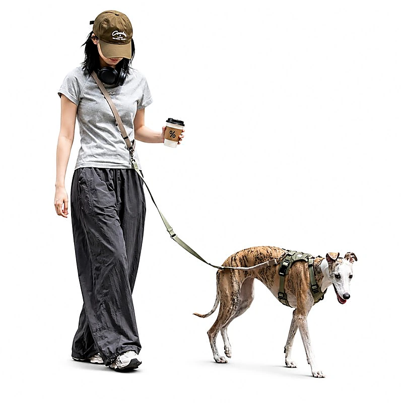 adjustable-outdoor-dog-walking-harness No Pull Dog Harness Set | Escape-Proof Adjustable Dog Harness