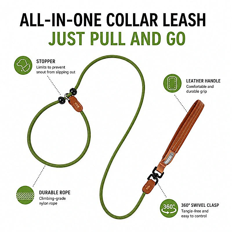 All-in-One Slip Dog Leash