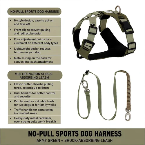 No Pull Dog Harness Set | Escape-Proof Adjustable Dog Harness