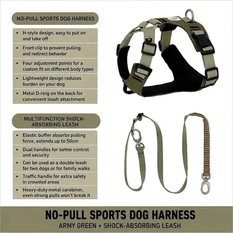 No Pull Dog Harness Set | Escape-Proof Adjustable Dog Harness
