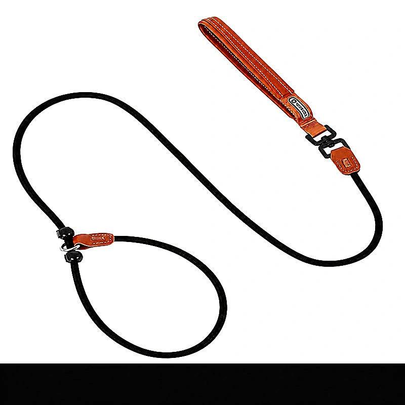 All-in-One Slip Dog Leash