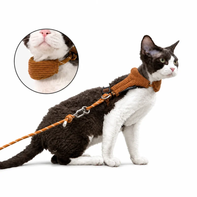 brown-sugar-cat-harness-neck-support Escape Proof Cat Harness & Leash Set – Soft Corduroy Adjustable Walking Harness