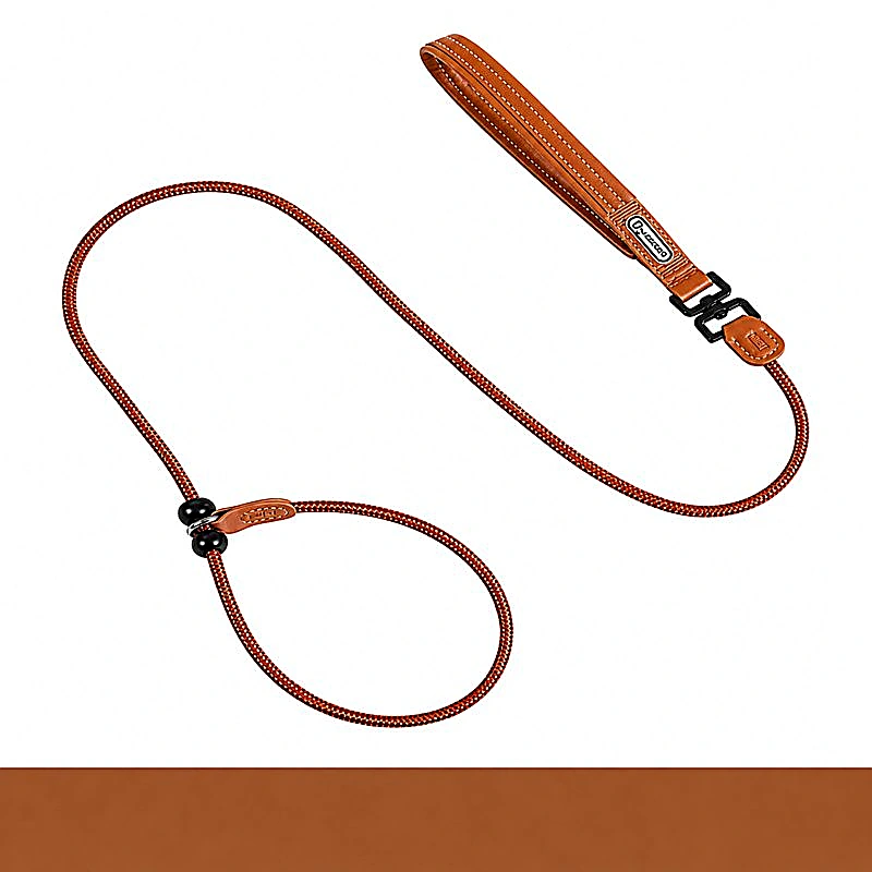 All-in-One Slip Dog Leash