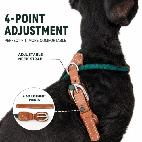 cat-harness-4-point-adjustment-feature Escape Proof Cat Harness and Leash Set – Lightweight Adjustable Walking Harness for Cats