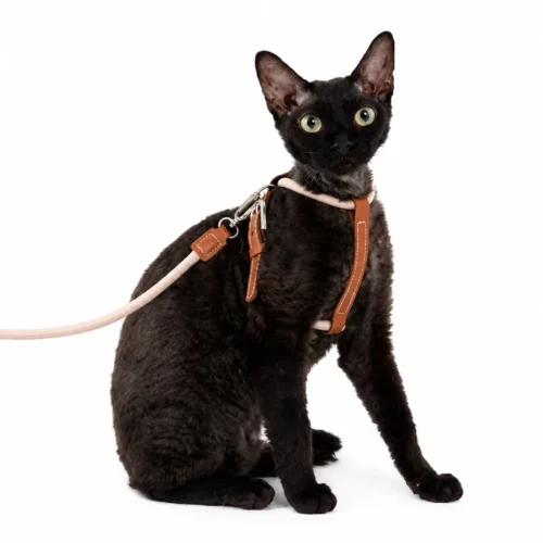 cat-harness-black-cat-cream-rope Escape Proof Cat Harness and Leash Set – Lightweight Adjustable Walking Harness for Cats