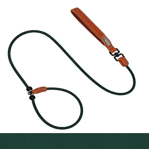All-in-One Slip Dog Leash