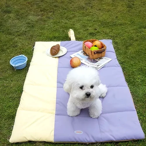 Portable Waterproof Dog Travel Mat