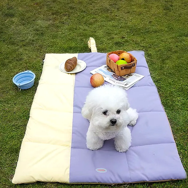 Portable Waterproof Dog Travel Mat