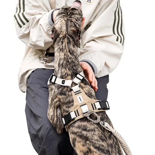 dog-harness-training-control-closeup No Pull Dog Harness Set | Escape-Proof Adjustable Dog Harness