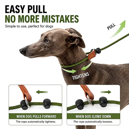 All-in-One Slip Dog Leash