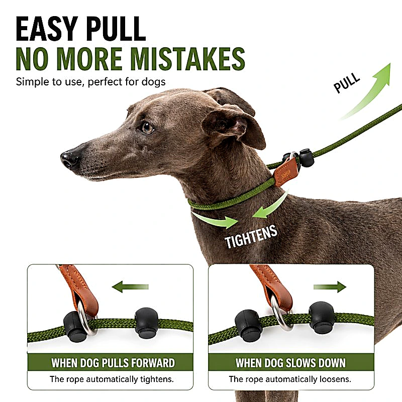 All-in-One Slip Dog Leash