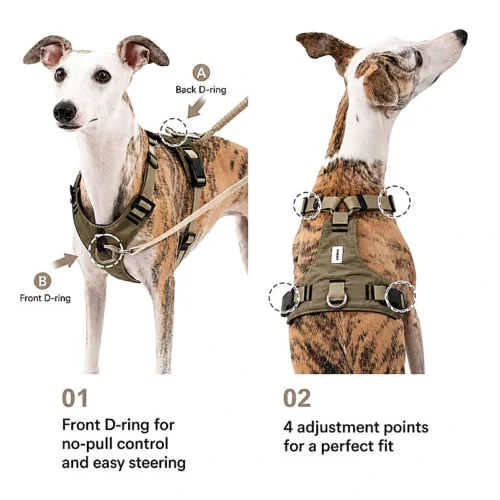 ergonomic-adjustable-dog-harness-details No Pull Dog Harness Set | Escape-Proof Adjustable Dog Harness