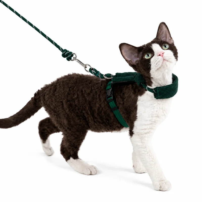 evergreen-cat-harness-walking Escape Proof Cat Harness & Leash Set – Soft Corduroy Adjustable Walking Harness
