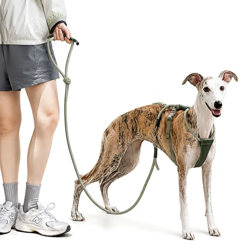 greyhound-escape-proof-dog-harness-walking Escape Proof Dog Harness | Secure Adjustable Fit