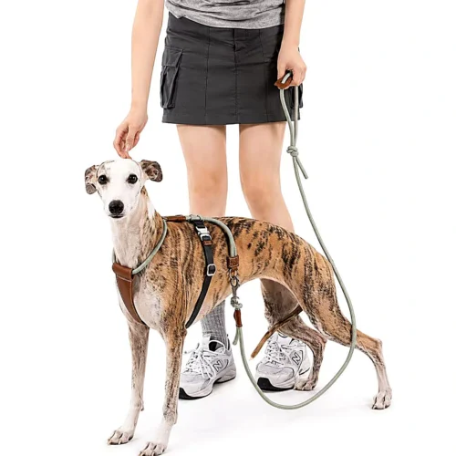 greyhound-harness-with-owner Escape Proof Dog Harness | Secure Adjustable Fit