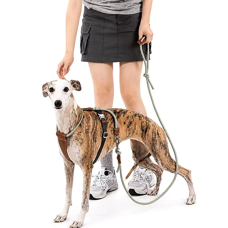 greyhound-harness-with-owner Escape Proof Dog Harness | Secure Adjustable Fit