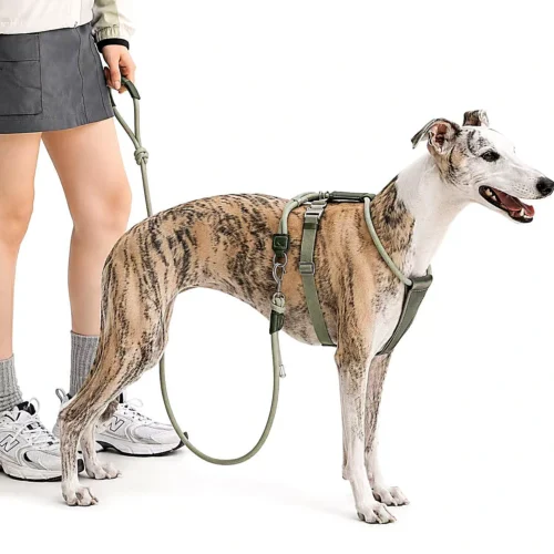 greyhound-no-escape-dog-harness-side-view Escape Proof Dog Harness | Secure Adjustable Fit