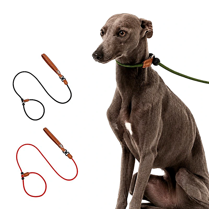 All-in-One Slip Dog Leash