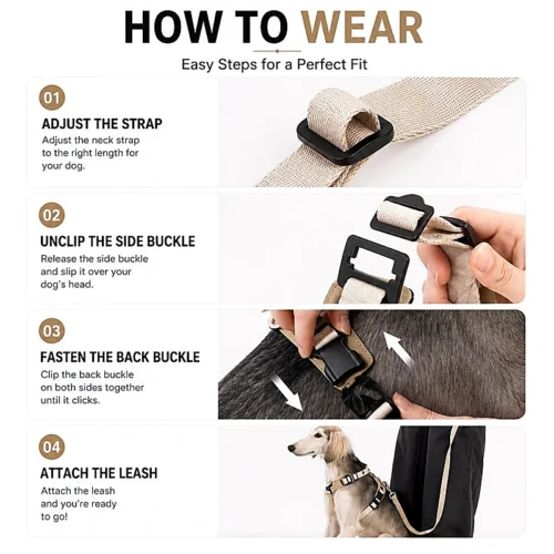 how-to-wear-dog-harness-guide No Pull Dog Harness Set | Escape-Proof Adjustable Dog Harness