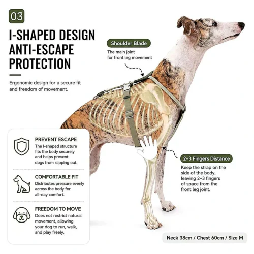 i-shaped-anti-escape-dog-harness-design Escape Proof Dog Harness | Secure Adjustable Fit