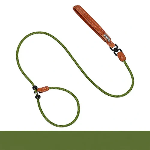 All-in-One Slip Dog Leash