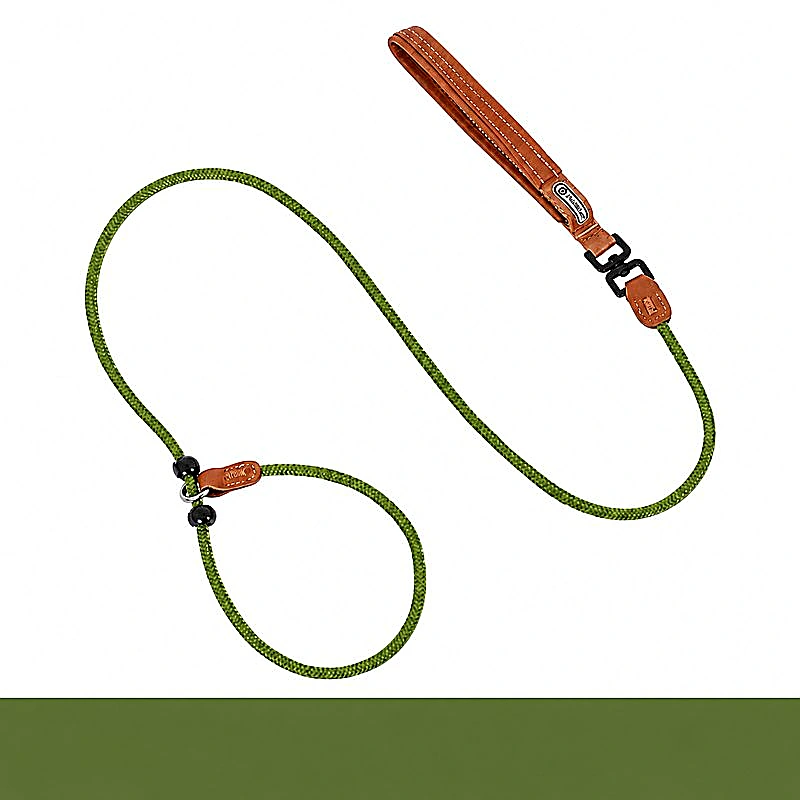 All-in-One Slip Dog Leash
