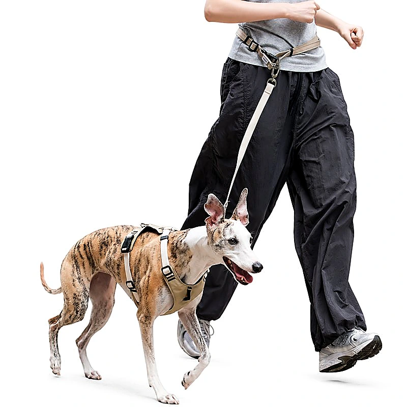 No Pull Dog Harness Set | Escape-Proof Adjustable Dog Harness