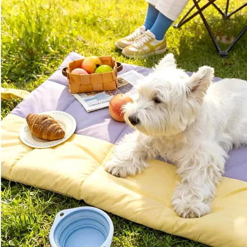Portable Waterproof Dog Travel Mat