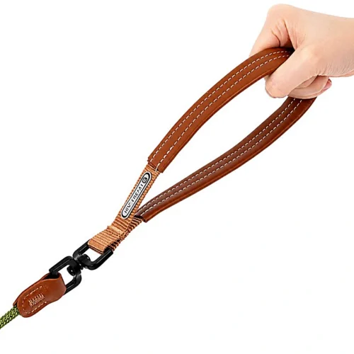 All-in-One Slip Dog Leash
