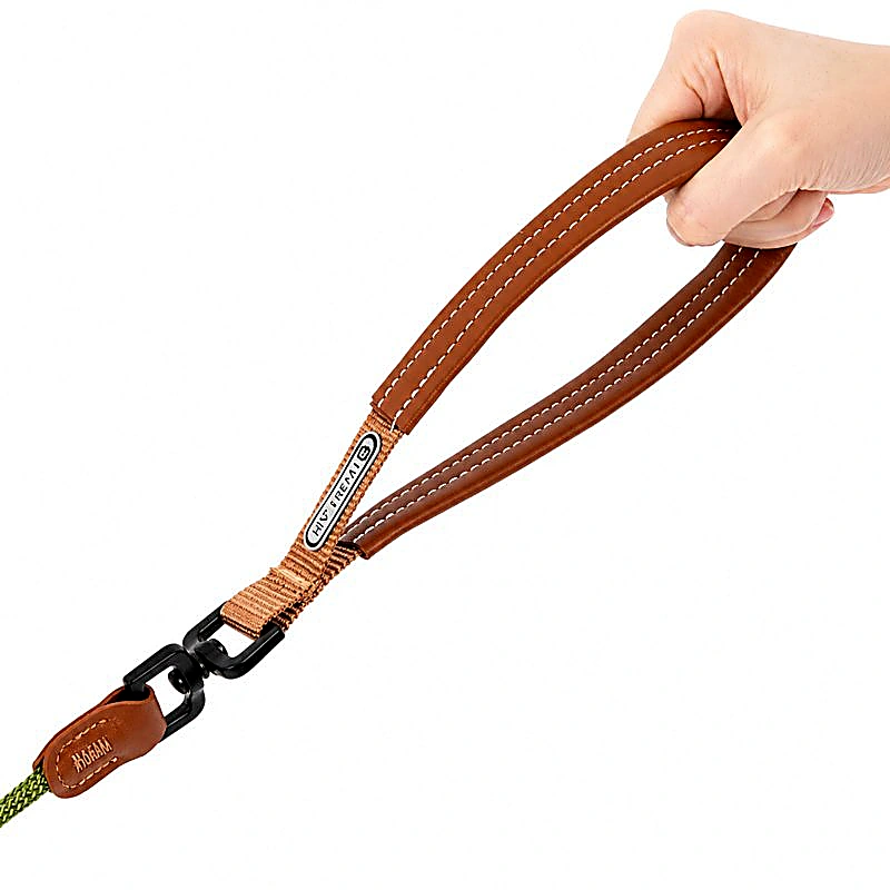 All-in-One Slip Dog Leash