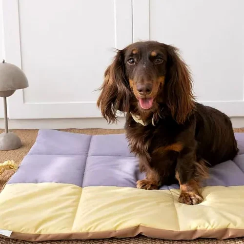 Portable Waterproof Dog Travel Mat
