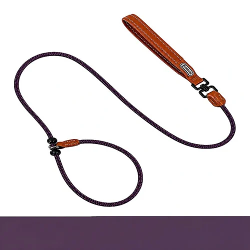 All-in-One Slip Dog Leash