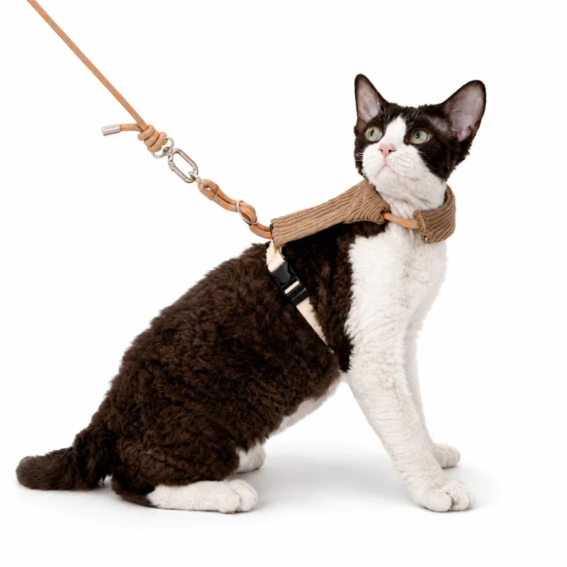 sand-beige-cat-harness-model Escape Proof Cat Harness & Leash Set – Soft Corduroy Adjustable Walking Harness
