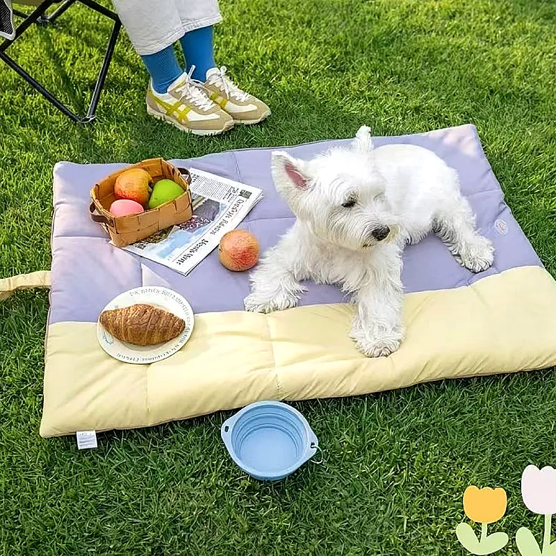 Waterproof Foldable Dog Travel Mat
